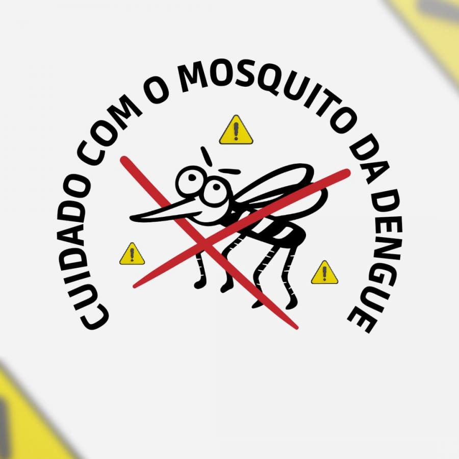 Aumento De Foco De Mosquito Da Dengue Traz Alerta Quanto A Limpeza De