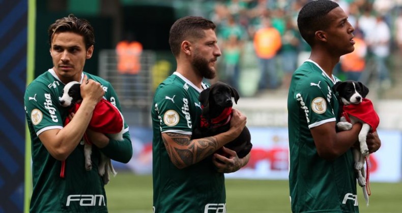 JOGADORES DO PALMEIRAS ENTRAM EM CAMPO CARREGANDO CÃEZINHOS